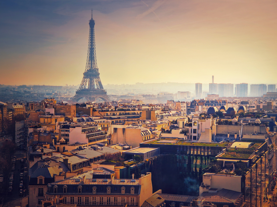  International Legal Services Banner Image